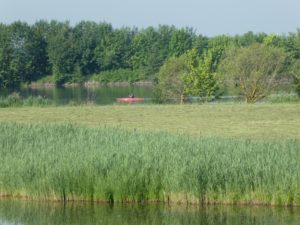 “Repositioning” Day