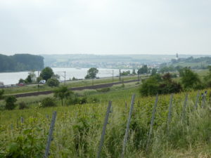 A less interesting part of the Rhine