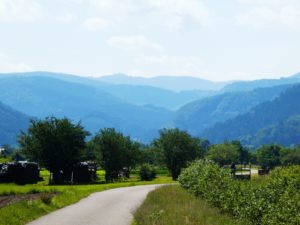 Thoughts about the Best of