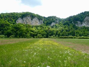 Part Four - Starting down the Donau