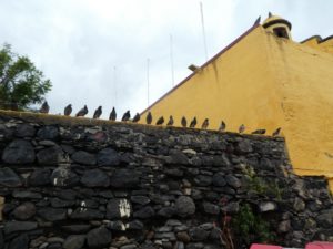 Have some Madeira, My dear